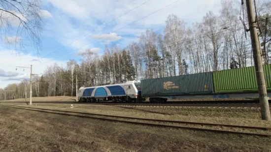 Служба железнодорожных перевозок из Китая в Россию/Валсино, дропшиппинг, агент по наземному транспорту, логистика, дропшиппер